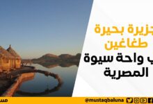 جزيرة بحيرة طغاغين في واحة سيوة المصرية