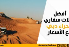 أفضل رحلات سفاري صحراء دبي مع الاسعار
